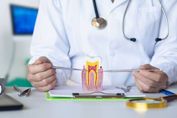 Best Emergency Orthodontic Repairs in Arabi, LA
